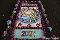 VBS_9734 - Infiorata di Villanova d'Asti 2023
